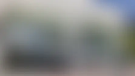 אוואטר 11 אולם תצוגה בישראל